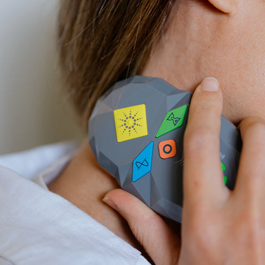 coMra Palm 2